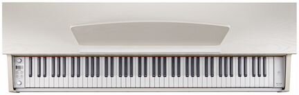 Becker BDP-82W цифровое пианино