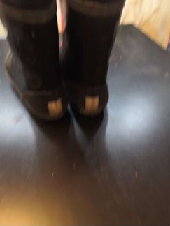 Резиновые сапоги Zebra