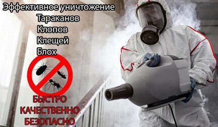 Уничтожение тараканов, клопов, блох, насекомых