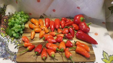 Семена перцы острые#сладкие#томаты