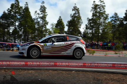 Декали Ford Fiesta R5 ралли (Лукьянюк/Арнаутов)