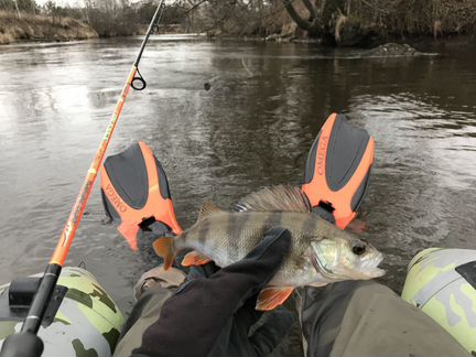 Ласты трансформеры с пружинным задником (размер L)